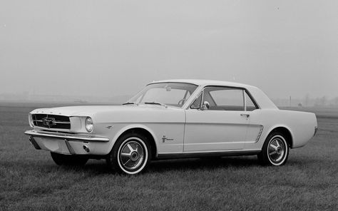 1965 Ford Mustang - Find more pics like this and a community that loves Ford by clicking the link! #fordmustang #mustangracing #FORD  #ford #mustang #racing #vintagecars #sportscars #cars #racinghistory #luxury #autohistory #musclecars #musclecar #boss #GT #gt American Muscle Cars Mustang, Mustang Photography, Old Mustang, Mustang 65, Classic Ford Mustang, Car Mustang, Ford Mustang Classic, Mustang 1964, Cars Mustang