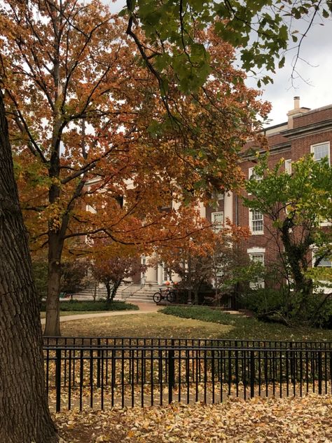 Vanderbilt University Aesthetic, Vanderbilt Aesthetic, Future Aspirations, Campus Aesthetic, College Apps, College Vision Board, Manifest Success, Hey Pumpkin, College Motivation