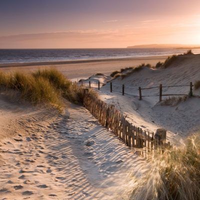 Ecological Succession, Coastal Plants, Uk Beach, Camber Sands, Country Life Magazine, Summer Roadtrip, Dynamic Landscape, Gower Peninsula, Kent Coast