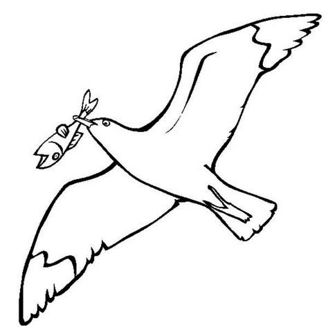 Realistic Dragon, Themed Kids Room, Fish Coloring Page, Love Coloring Pages, Bird Coloring Pages, Sea Gull, Online Coloring Pages, I Love My Dad, Bird Pictures