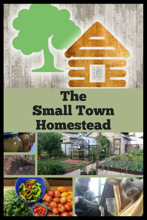 The Small Town Homestead, Helping others to homestead today for a better tomorrow by becoming more self sufficient and sustainable through general preparedness in all areas of life. Homesteading In Town, Permaculture Principles, Self Sustaining, Modern Homesteading, Homesteading Ideas, Self Sufficient, A Better Tomorrow, Better Tomorrow, Eco Friendly House