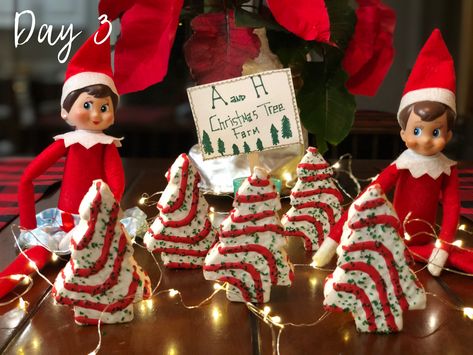 Elf Christmas Tree Farm, Elf Tree Farm, Elf On The Shelf Tree Farm, Elf On The Shelf Christmas Tree Farm, Shelf Christmas Tree, Elf 2024, Shelf Tree, Elf On A Shelf, Elf Christmas Tree