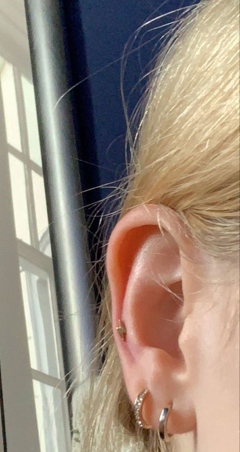 2 Ear Piercings, Double Lobe Piercing, Auricle Piercing, Earring Stacks, Minimalist Ear Piercings, Ear Piercing Studs, Snug Piercing, Earring Inspo, Belly Button Piercing Jewelry