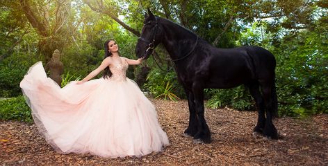 Quinceañera Pictures, Quinceanera Photo Shoot, Quince Picture Ideas, Quinceañera Photoshoot Ideas, Quince Photoshoot Ideas, Sweet Sixteen Photography, Quince Pictures, Quinceanera Pictures, Quinceanera Photoshoot