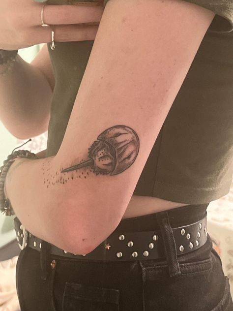 Spider Crab Tattoo, Horshoe Crab Tatoos, Horseshoe Crab Drawing, Horseshoe Crab Tattoo, Hermit Crab Tattoo, Siblings Tattoo, Horseshoe Tattoo, Horse Shoe Tattoo, Crab Tattoo