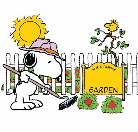 Snoopy Gardening, Peanut Quotes, Snoopy Garden, Happy Snoopy, Woodstock Snoopy, Snoopy Cartoon, Snoopy Funny, Snoopy Images, Peanuts Cartoon