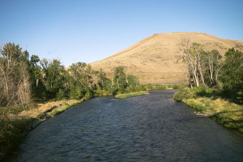 A Road Trip Paradise! : Yakima Valley Tourism Blog Yakima Valley, City Los Angeles, Side Road, Scenic Road Trip, Canyon Road, Columbia River Gorge, Scenic Byway, Columbia River, Washington State