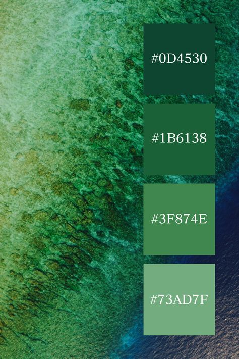 A top-down view of a coastal reef featuring a sea green color palette, transitioning from mossy greens near the shore to darker teal as it merges with the deep blue of the ocean, illustrating the rich biodiversity of marine life. Sea Green Color Palette, Color Palette Code, Color Scheme Generator, Ocean Color Palette, Jewel Tone Color Palette, Code Color, Dark Sea Green, Green Color Palette, Sea Green Color