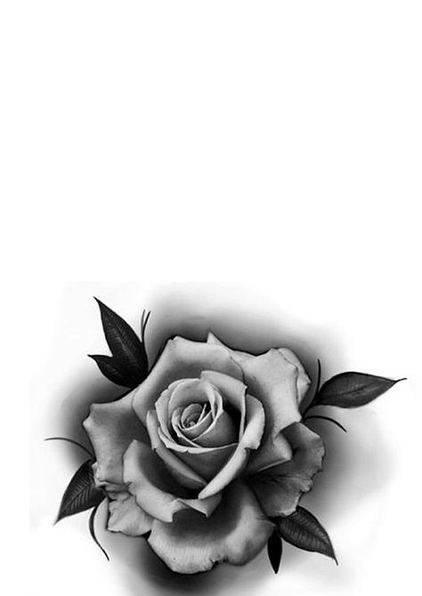 Black And White Rose Tattoo, Black And Grey Rose Tattoo, Black And White Flower Tattoo, Rose Tattoo Stencil, Rosen Tattoo Frau, Realistic Flower Tattoo, White Rose Tattoos, Realistic Rose Tattoo, Flores Tattoo