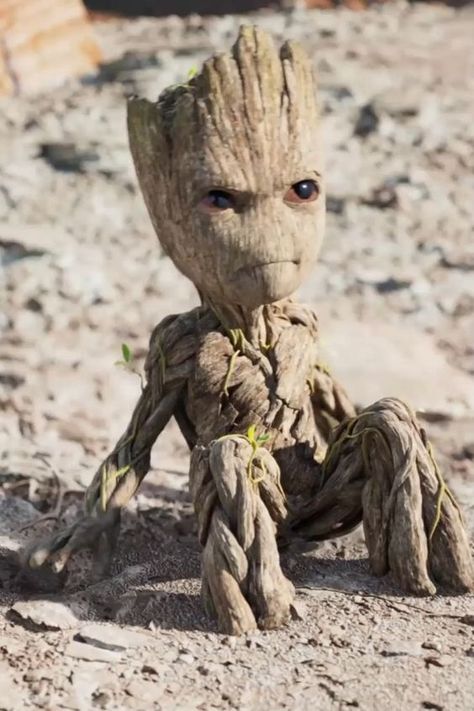 #iamgroot #babygroot #minigroot #marvel #grootvideo Out Of Order Humor, Angry Groot, House Made Of Wood, Baby Groot Dancing, Memes Funny Hilarious, Cat Memes Funny, Groot Dancing, Groot Guardians, Groot Marvel