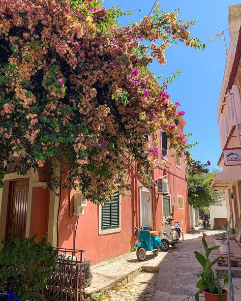 ZEMUN on Instagram: “Gaios, Paxos 🇬🇷🛥 . . . . . . . #paxos #paxos🇬🇷⚓️⛵️ #paxosisland #greece_travel #grece #paxos  #greece #greece_travel #greece_nature…” Gaios Paxos Greece, Paxos Greece Aesthetic, Paxos Greece, Paxos Island, Greece Nature, Greece Trip, School's Out For Summer, Greece Travel Guide, Travel Greece