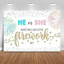 Stars Gender Reveal, Firework Gender Reveal Party, Firework Gender Reveal, Gender Reveal Ideas For Party, Gender Reveal Backdrop, He Or She Gender Reveal, Baby Shower Return Gifts, Stars Photography, Pink Fireworks