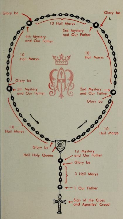 Mysteries Of The Holy Rosary, Rosary Guide, Pray Rosary, Rosary Prayers, Rosary Meditations, Prayers Catholic, Rosary Prayers Catholic, Hail Holy Queen, Contemplative Prayer