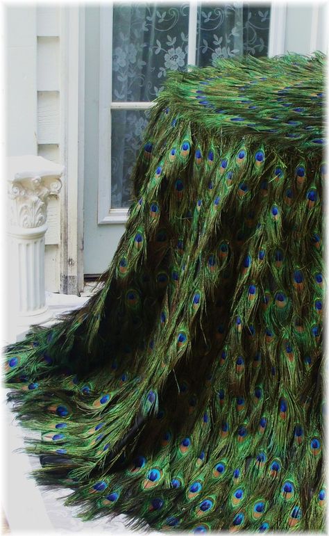 Stunning Peacock Feather Tablecloth for 108 circle  by Ivyndell, $4000.00 Hollywood Photography, Peacock Wedding Theme, Peacock Christmas, Black Tablecloth, Peacock Theme, Peacock Colors, Peacock Decor, Peacock Art, Gorgeous Wedding Cake