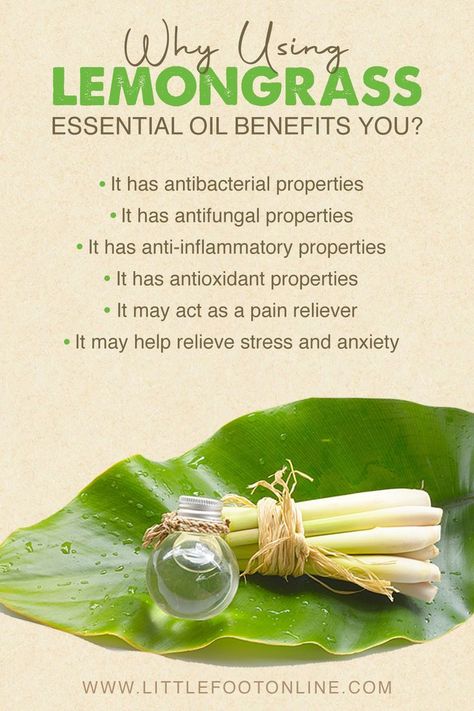 Have you heard about lemongrass essential oils? There are many benefits that we can get from it. Let's find out more! Lemongrass Benefits, Lemongrass Essential Oil Benefits, Essential Oil Healing, Natural Beauty Recipes, Essential Oil Benefits, Lemongrass Essential Oil, Oil Benefits, Beauty Recipe, Dry Brushing