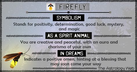 Firefly Meaning and Symbolism | The Astrology Web Dream Meanings Symbols Animals, Firefly Tattoo Meaning, Firefly Spiritual Meaning, Firefly Symbolism, Firefly Meaning, Animal Omens, Fly Symbolism, Charm Reading, Animal Totem Spirit Guides