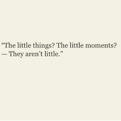 The little things Fleeting Moments Quotes Life, Cherishing Moments Quotes, Qoutes About Living In The Moment, Cherish The Moment Quotes, Time Is Fleeting Quotes, This Moment Quotes, Life Is Fleeting Quotes, Cherish Core, Cherish Aesthetic