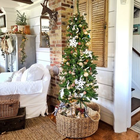 Whether you have a home, or a particular room that's more on the small side, I'll show you some creative Christmas tree ideas for those small spaces during the holidays. Creative Christmas Tree Ideas, Christmas Tree Container, 4ft Christmas Tree, Small Space Christmas Tree, First Christmas Together Ornament, Small Christmas Tree, Christmas Dining Room, Creative Christmas Trees, Cottage Christmas