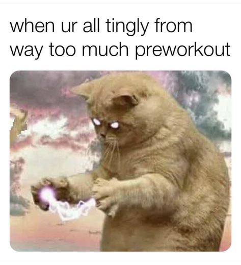 Pre Workout Meme, Sore After Workout, Leg Day Memes, Good Mornings Exercise, Workout Memes Funny, Running Memes, Train Like A Beast, Pre Workout Supplement, Workout Memes