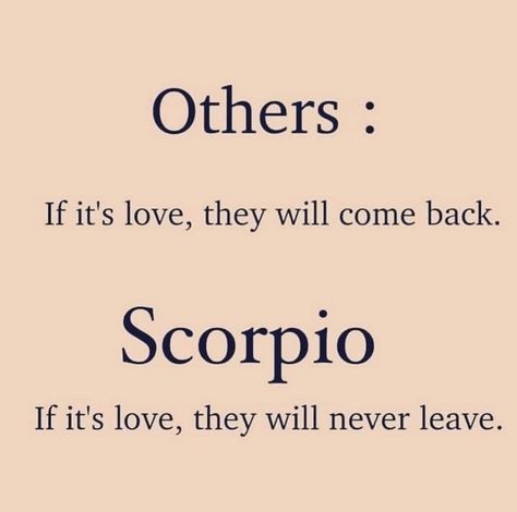 Scorpio Loyalty Quotes, Scorpio Man And Scorpio Woman, Leo And Scorpio Relationship, Scorpio Funny, Scorpion Facts, Scorpio Relationships, Truth Questions, Libra Sagittarius, Scorpio Leo