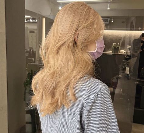 Korean Blonde Hair, Blonde Hair Korean, Yellow Blonde Hair, Baby Blonde Hair, Light Strawberry Blonde, Korean Hair Color, Golden Blonde Hair, Honey Blonde Hair, Blonde Hair Inspiration