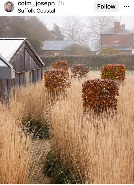 Uk Garden Ideas, Calamagrostis Karl Foerster, English Landscape Garden, Naturalistic Garden, Modern Courtyard, Garden Seating Area, Brick Garden, Gravel Garden, Gardens Design