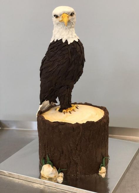 Eagle Birthday Cake, Eagle Cake Ideas, Ice Chocolate, Fondant People, Nursing Cake, Bird Cake, Realistic Cakes, Cake Show, I Did It Again