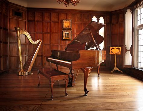 Home Studio Music Room, Small Music Room, Piano Rooms, Formal Decor, Studio Music Room, Vampire House, Home Music Rooms, House Elements, Grand Pianos