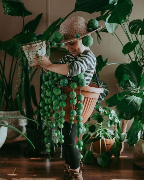 Happy Halloween from all of us plant (and plant costume) lovers here at The Sill 🎃 Incredible string of pearls costume by @daniellerbevens Diy Baby Costumes, Themed Halloween Costumes, Homemade Halloween, String Of Pearls, Family Halloween Costumes, Halloween Inspiration, Family Halloween, Diy Halloween Costumes, Halloween Costumes For Kids