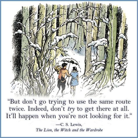 Narnia: "Don't go trying to use the same route twice..." The Lion, the Witch and the Wardrober Wardrobe Quotes, Mr Tumnus, Narnia Quotes, Peter Pevensie, Cs Lewis Quotes, C S Lewis, Cs Lewis, Chronicles Of Narnia, It Goes On