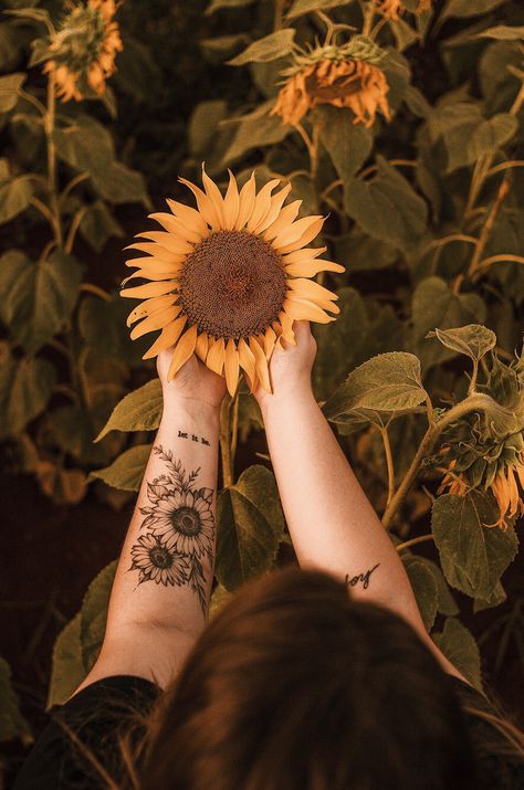 Flowers are crucial for plant reproduction as they house the reproductive organs necessary for the production of seeds. They are usually colorful and fragrant, attracting various pollinators like bees, butterflies, birds, and other insects, which aid in the process of pollination. Flower Leaf Tattoo, Sunflowers Photography, Tattoo Coloring Book, Lioness Tattoo, Leaf Tattoo, 13 Tattoos, Mexican Flowers, Plant Tattoo, Sunflower Tattoos