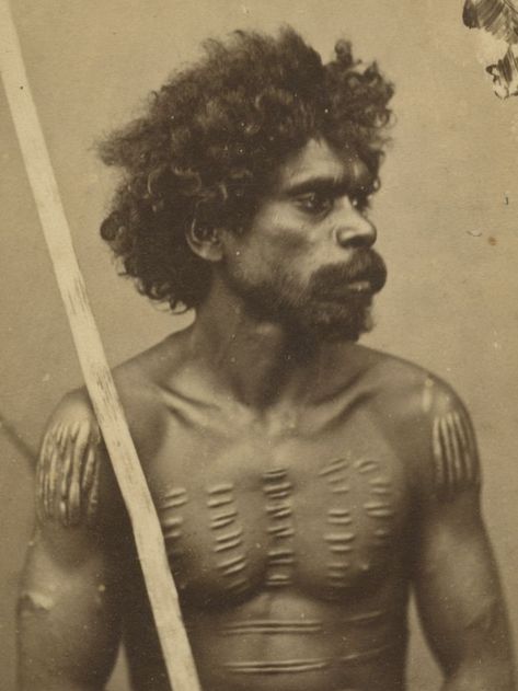 Thomas Bevan, Queensland - 1860s Australian Aboriginal History, Stone Age People, Australian Aboriginals, Aboriginal History, Creative Costume, Aboriginal Culture, Torres Strait Islander, Body Adornment, Scarring