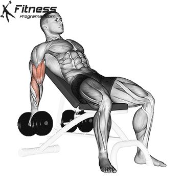 Big Biceps Workout, Best Biceps, Dumbbell Curls, Bicep Muscle, Big Biceps, Muscle Hunks, Biceps And Triceps, Plank Workout, Biceps Workout