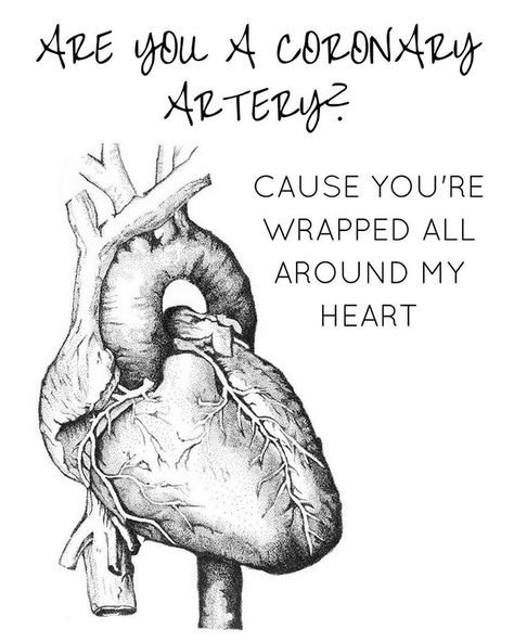 Happy Valentines Day to my medical peeps! #medicalhumor #anatomicalheart #medicalmeme Medische Humor, Anatomy Humor, Medicine Quotes, Medical Jokes, Medical Memes, Medical Quotes, Nerd Jokes, Science Jokes, Medical Humor