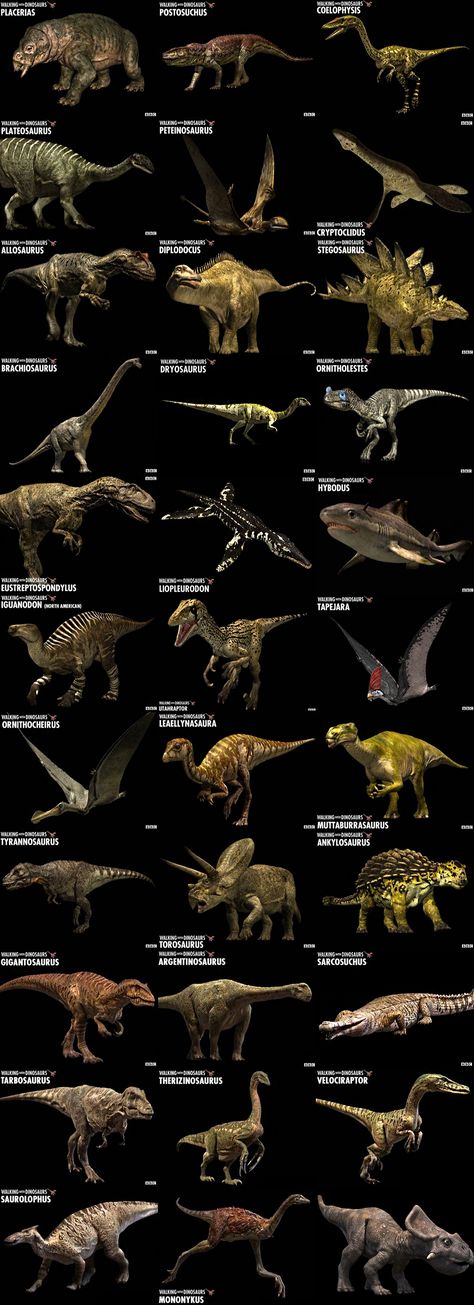 Paleoart Dinosaurs, Jurassic Dinosaurs, Prehistoric Animals Dinosaurs, Walking With Dinosaurs, Dinosaur World, Prehistoric Wildlife, Prehistoric Dinosaurs, Dinosaur Pictures, Dinosaur Illustration