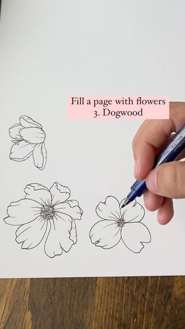 Dogwood Drawing Simple, Dogwood Flower Tattoo, Dogwood Tattoo, Dogwood Flower Tattoos, Dogwood Flower, Dogwood Flowers, Flower Center, Simple Flowers, Custom Tattoo