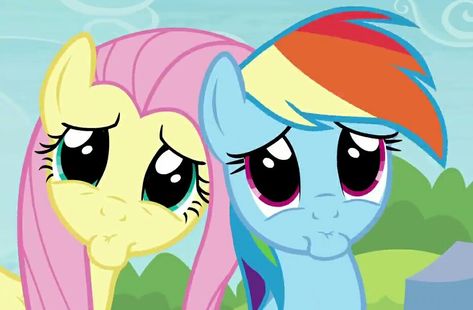 Fluttershy And Rainbow Dash, Mlp Screencaps, Mlp Pfps, Fluttershy Rainbow Dash, Mlp Memes, Cute Rainbow, My Little Pony Pictures, Still In Love, Mlp My Little Pony