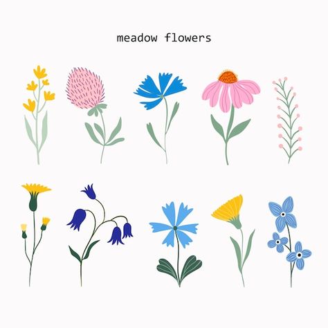 Meadow flowers and plants summer collect... | Premium Vector #Freepik #vector #flower #flower-art #botanical #floral-illustration Spring Sale Banner, Peony Illustration, Butterfly On Flower, Watercolor Flower Background, Red Peonies, Botanical Decor, Colorful Roses, Meadow Flowers, Floral Illustration