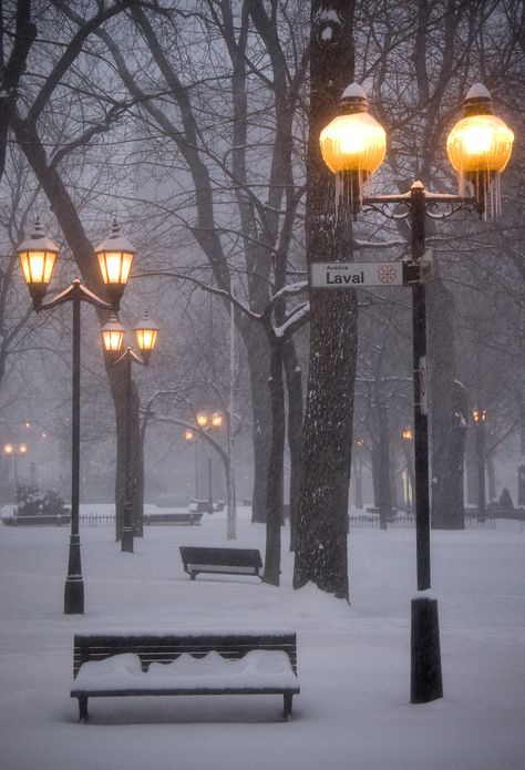 Snowy Bench, Snowy Weather, Street Lights, I Love My Friends, Winter Scenery, Last Christmas, Snowy Day, Street Light, Winter Time