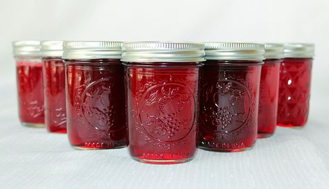 Muscadine Jelly . A home canned jelly made from Muscadine grapes. #southern #grapes #muscadine #jelly Muscadine Recipe, Muscadine Jelly, Homemade Grape Jelly, Canning Jam, Grape Recipes, Homemade Jelly, Jelly Recipe, Cream Cheese Pound Cake, Grape Jelly