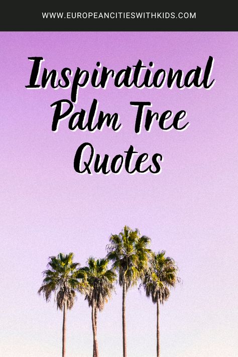 If you’re seeking palm tree quotes that properly encapsulate what you want to say or feel motivated, check out the wonderful collection of famous and unknown palm tree quotes. Europe Quotes, Palm Tree Quotes, Indoor Palm Trees, Cruise Quotes, Indoor Palms, Tree Quotes, Palm Tree Plant, Sunshine Quotes, View Quotes