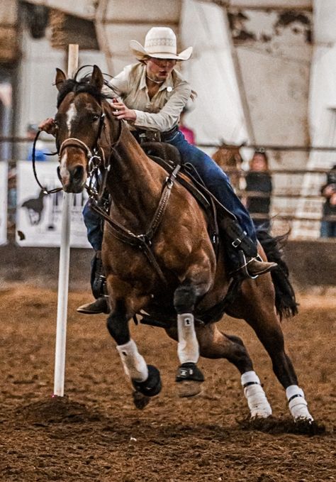 Western Riding Aesthetic, Barrel Racing Aesthetic, Summer Rodeo, Rodeo Photography, Pole Bending, Horse Riding Quotes, Bronc Riding, Cute Horse Pictures, Barrel Racing Horses