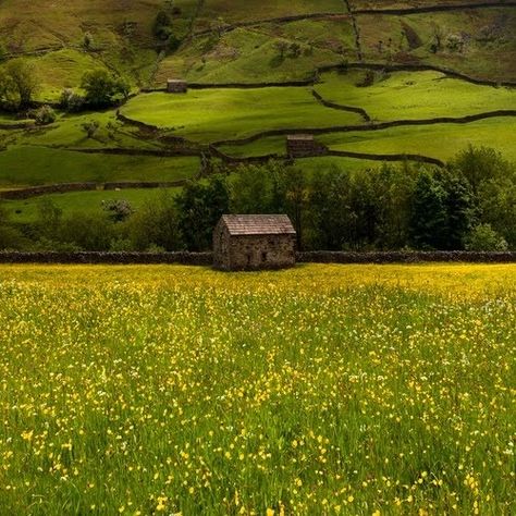 Jaime Lannister, Green Field, Green Hills, Yorkshire England, Yorkshire Dales, England And Scotland, Arya Stark, English Countryside, England Travel