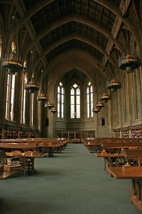 A great quiet study spot on campus. Right outside this room is the worlds largest book, very fitting to commemorate the reading room. #youW Photo by Erin Bestrom Law School Library, Library Essentials, School Libraries, University Architecture, College Library, Autumn In New York, School Campus, Academic Motivation, Dream School