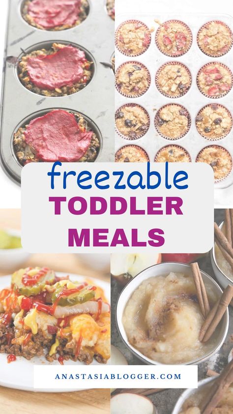 As a busy mom, I understand that you may not always have time to prepare a fancy meal for your children. Here are some wonderful freezable toddler meal dishes that your kids will enjoy! Toddler Meal Prep Freezer Cooking, Freezable Blw Recipes, Freezer Meals For Toddlers, Healthy Toddler Meal Prep, Freezable Toddler Meals, Freezer Friendly Toddler Meals, Toddler Meal Prep For The Week, Toddler Freezer Meals, Make Ahead Toddler Meals