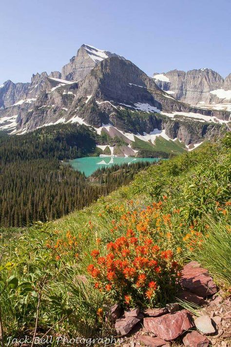 Grinnell Lake Lake Ecosystem, Glacier National Park Wildflowers, Lindeman Lake, Alpine Lakes Wilderness Washington, Grinnell Lake, Grinnell Glacier, Montana Lakes Clear, Grain Of Sand, Beautiful Images Nature