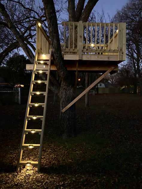 Tree House Stairs Ideas, Tree House Accessories Kids, Treehouse Railings, Adult Tree House Backyards, Tree House Decorating Ideas Inside, Tree House Designs For Kids, Tree House Simple, Tree House Stairs, Treehouse Stairs