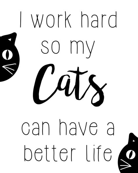 I Work Hard So My Cats Can Have A Better Life   #cats #cat #catlover #catlady #etsy #printable #digitaldownload #homedecor #catdecor #blackandwhiteprint #catprint #artprint Cats Sayings, Cat Filing Nails, Cat Sayings, Cat Graphic Art, Pet Store Ideas, Kitten Care, I Work Hard, Cat Quotes, Funny Cat Memes