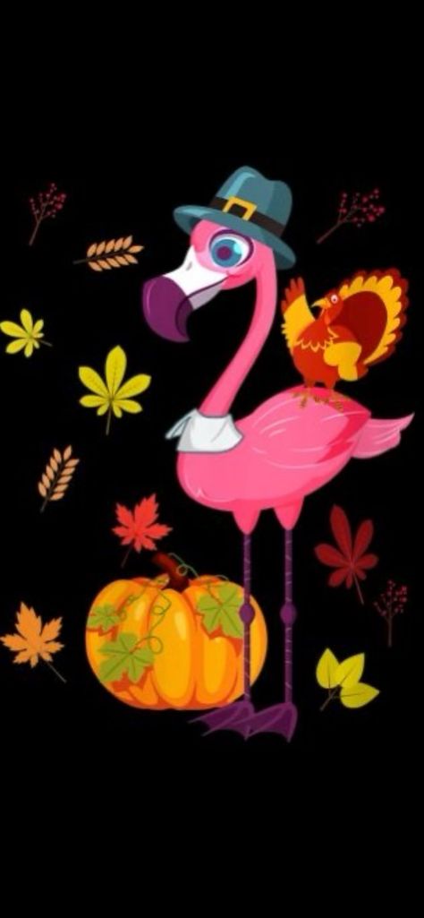 Thanksgiving Flamingo, Flamingo Images, Happy Thanksgiving, Birthday Ideas, Cute Wallpapers, Flamingo, Classic Design, Iphone Wallpaper, Thanksgiving