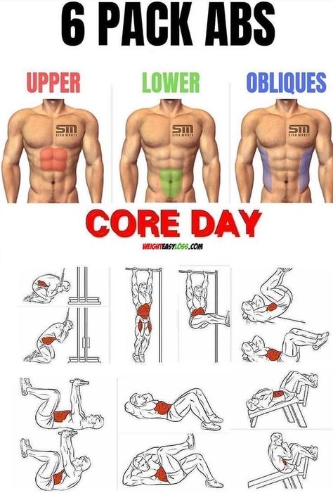 Core Day, Perut Six Pack, Sixpack Workout, Trening Sztuk Walki, Gym Workout Planner, Beginner Workouts, Six Pack Abs Workout, Gym Abs, Latihan Kardio